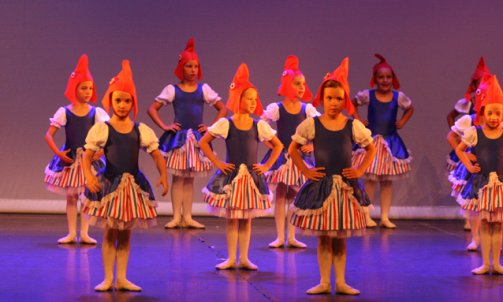 Spectacle 2015 Saint-Orens-de-Gameville