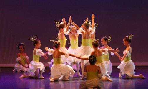 Spectacle 2015 Saint-Orens-de-Gameville